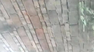 极品身材少妇