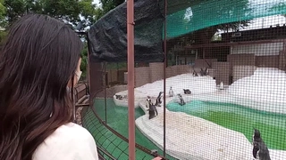 荒岛惊魂阿槍探花01明星顏值的極品外圍美女川妹子多姿勢超級配合