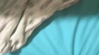 眼镜哥夫妻