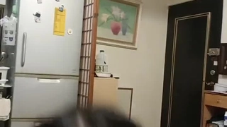 尚气在线观看免费完整版